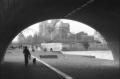 Notre Dame as seen from under the pont de la Tournelle.  This also fits into my dogwalkers virtual series.