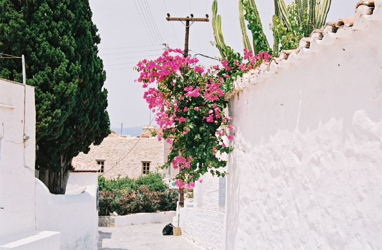 Image 000012.jpg