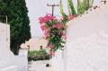 Image 000012.jpg