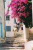 No cars allowed on Hydra