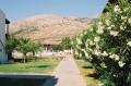 Path to the pool & food!
