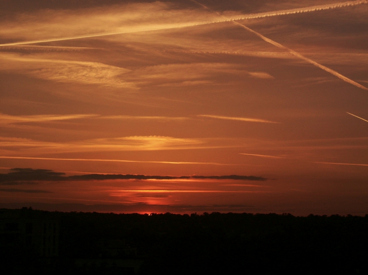 PICT0034p