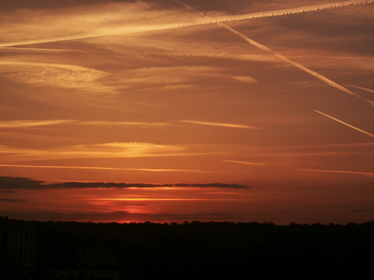 PICT0035p