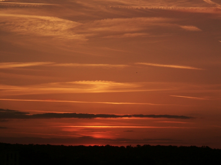 PICT0036p