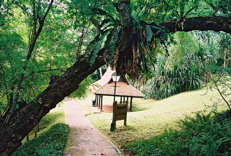 Lost in Fort Canning Park
