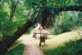Lost in Fort Canning Park